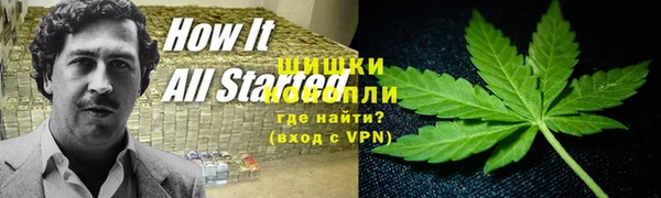 PSILOCYBIN Балахна