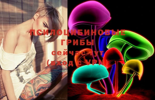 PSILOCYBIN Балахна