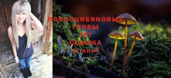 PSILOCYBIN Балахна