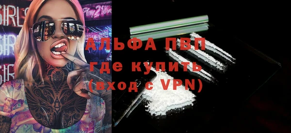 PSILOCYBIN Балахна